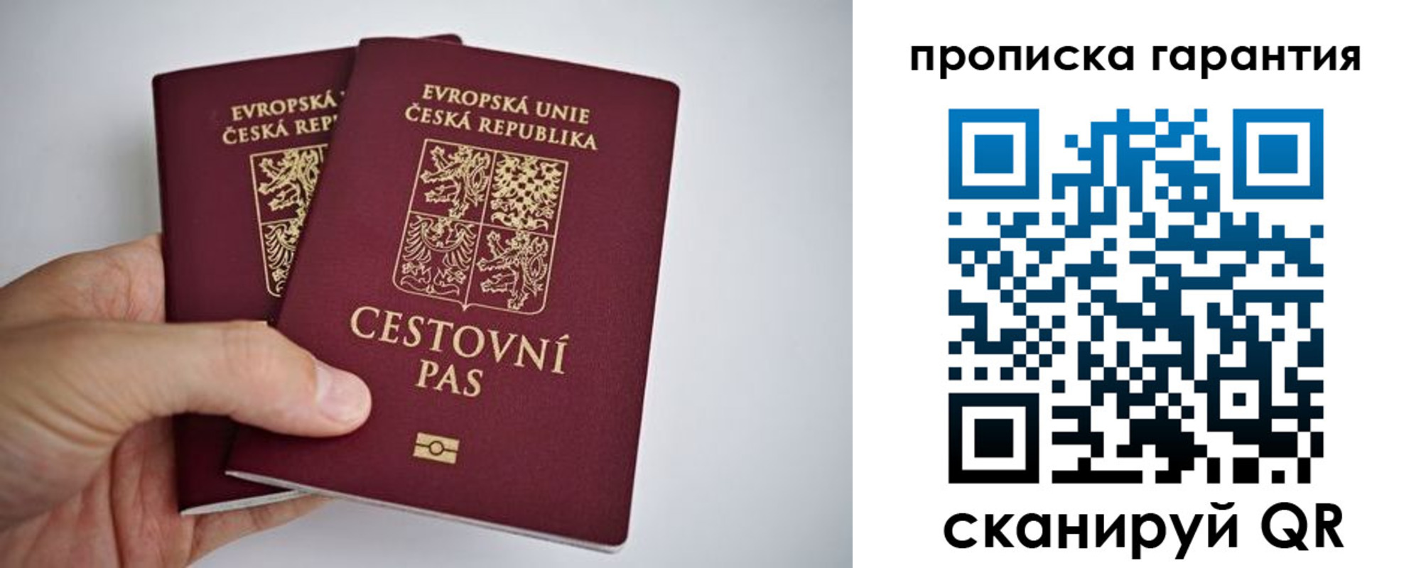 прописка в Жердевке